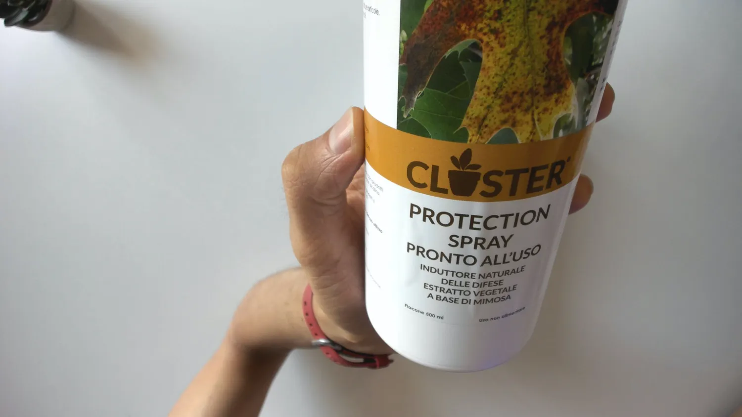 Closter Protection Spray Piante 500 ml Oidio