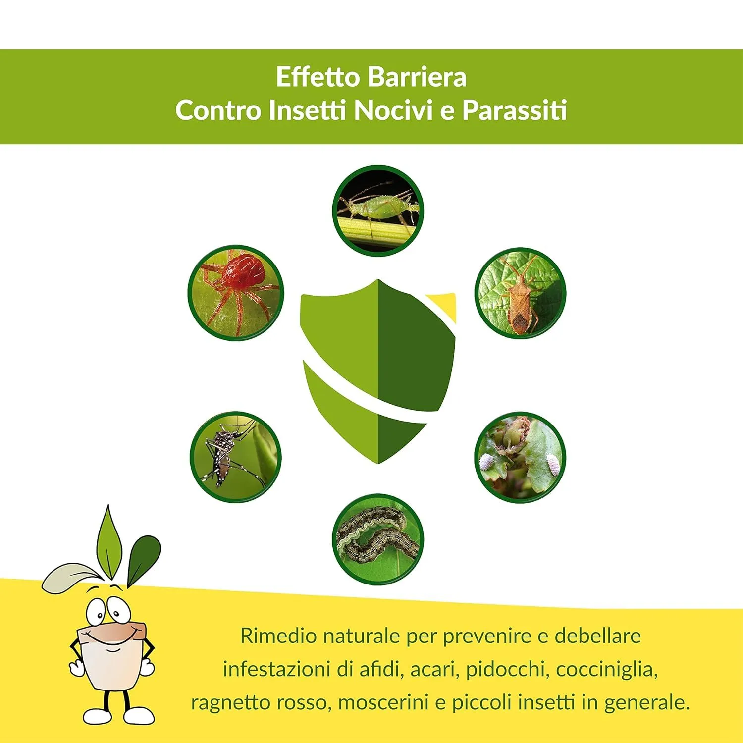 Closter Olio di Neem Spray Piante 750 ml Pronto Uso Naturale