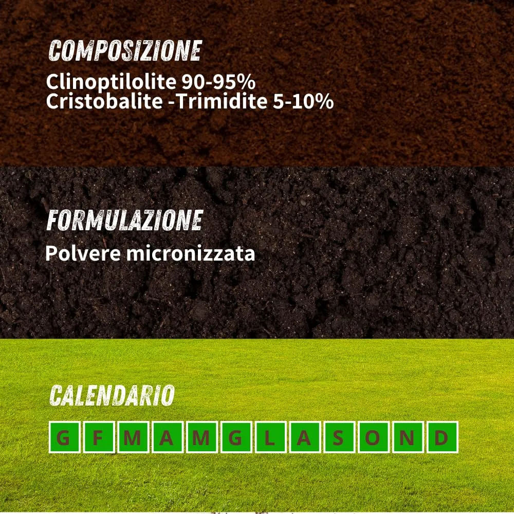 Vithal Zeolite polvere di roccia corroborante 1 kg bio