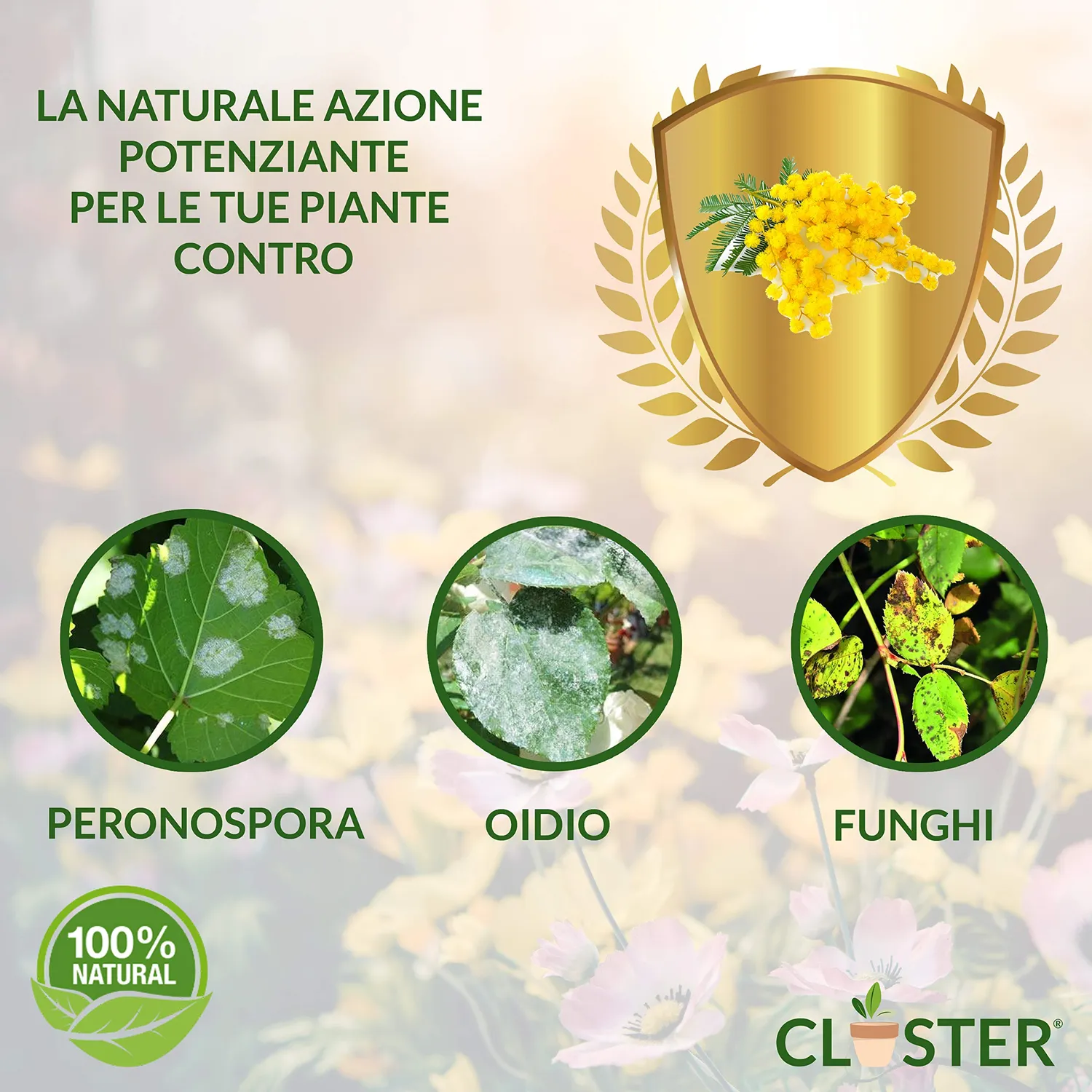 Closter Protection Spray Piante 500 ml Oidio