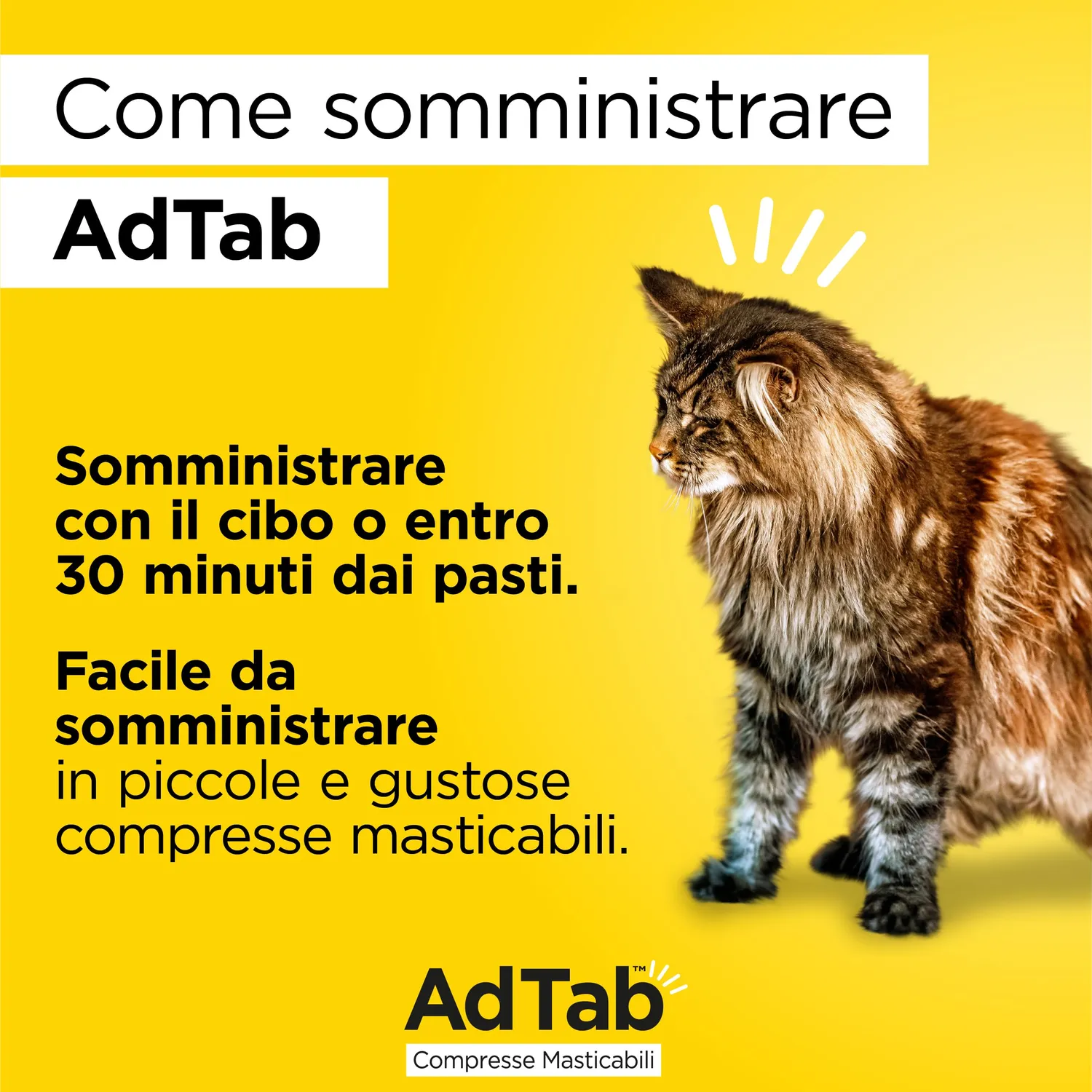 Elanco AdTab gatto 0,5-2 kg compresse masticabili 3 pz