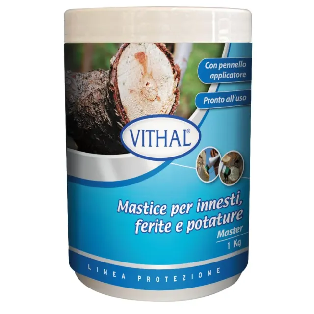 Vithal Mastice per Innesti cicatrizzante piante 1kg con pennello