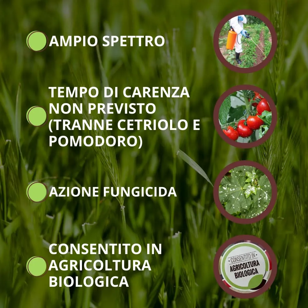 Vithal Biolid estratto equiseto fungicida 250 ml bio