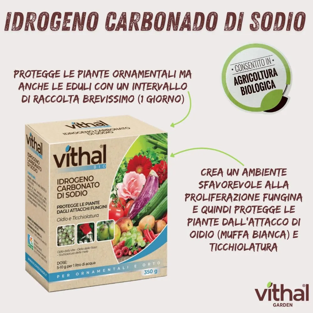 Vithal fungicida piante polvere 350 g bicarbonato