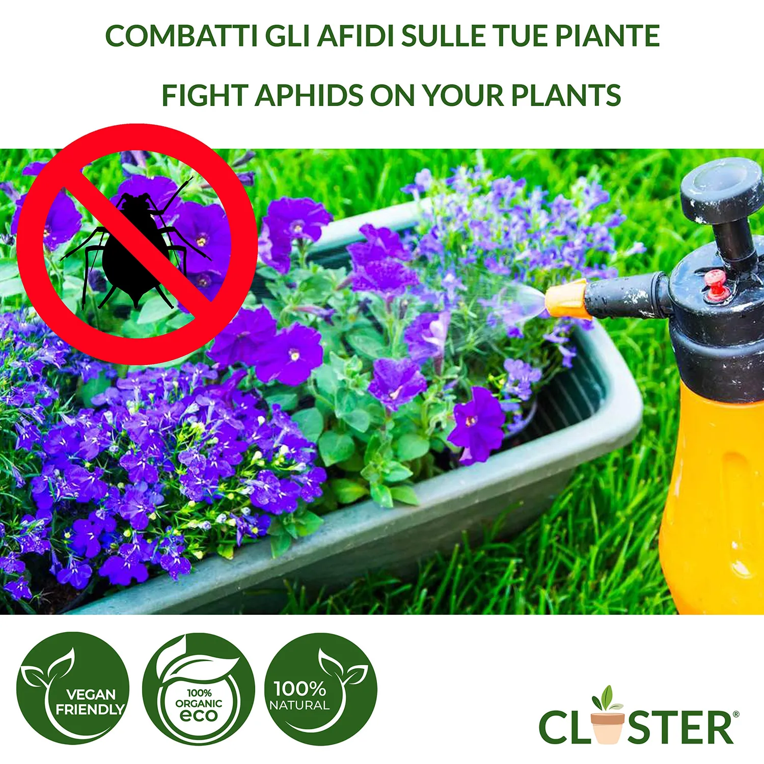 Closter Stop Afid spray piante 500 ml agrumi