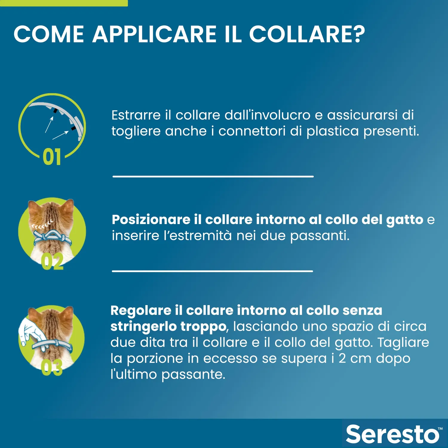 Elanco Seresto collare antiparassitario gatto 8 mesi grigio