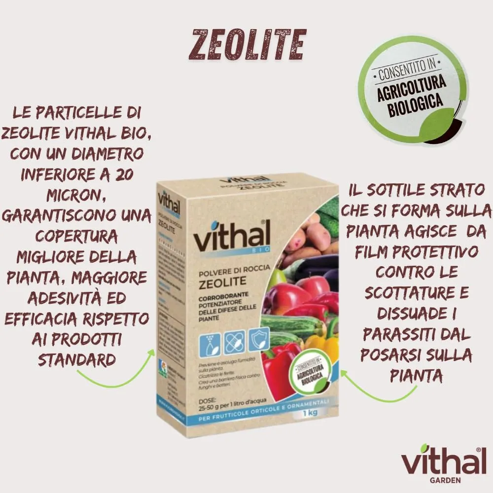 Vithal Zeolite polvere di roccia corroborante 1 kg bio