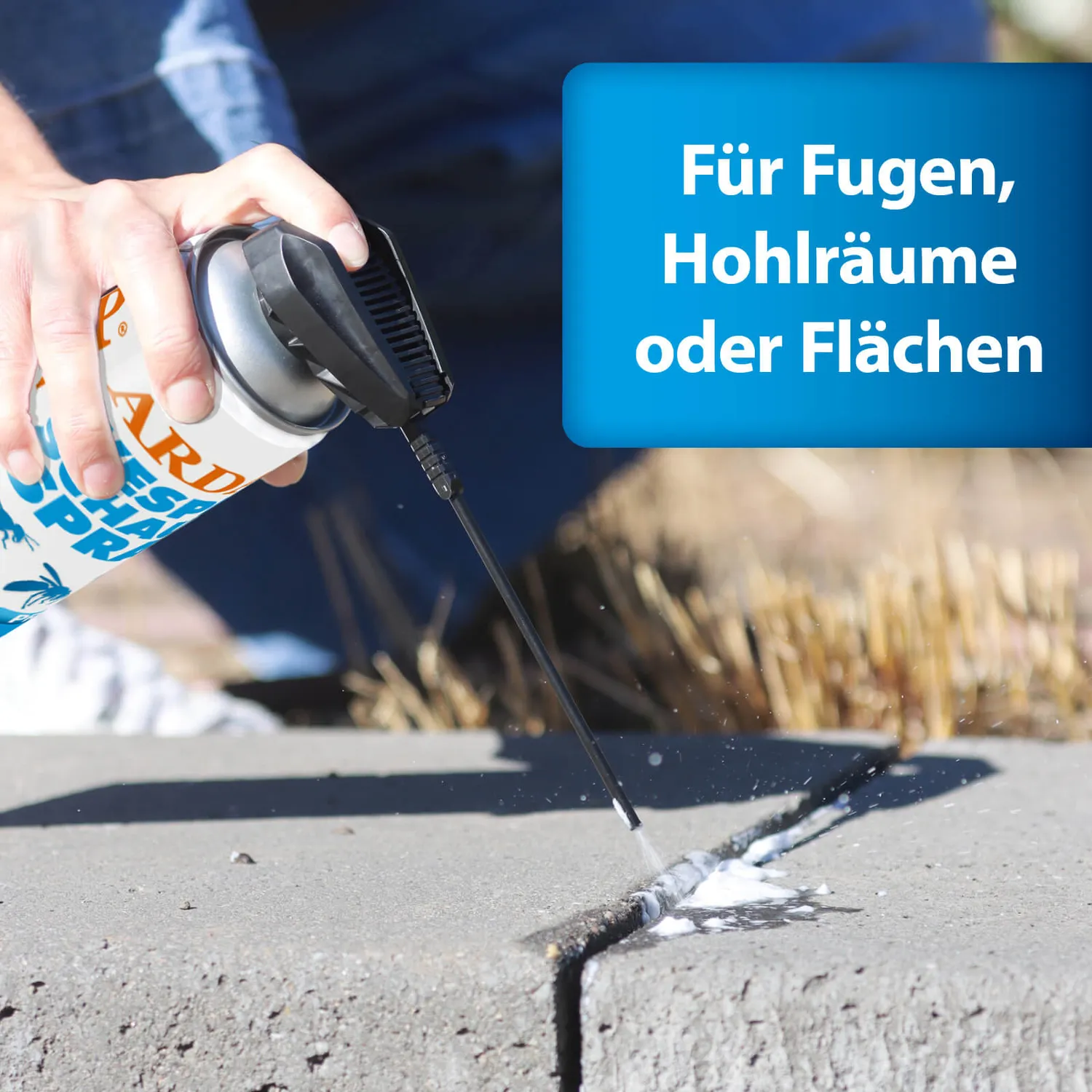 ARDAP Anti-Wespen-Set kit antivespe esterni giardino