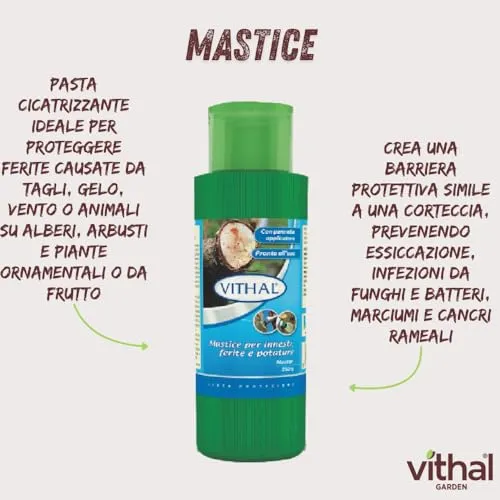 Vithal Mastice per Innesti protettivo
