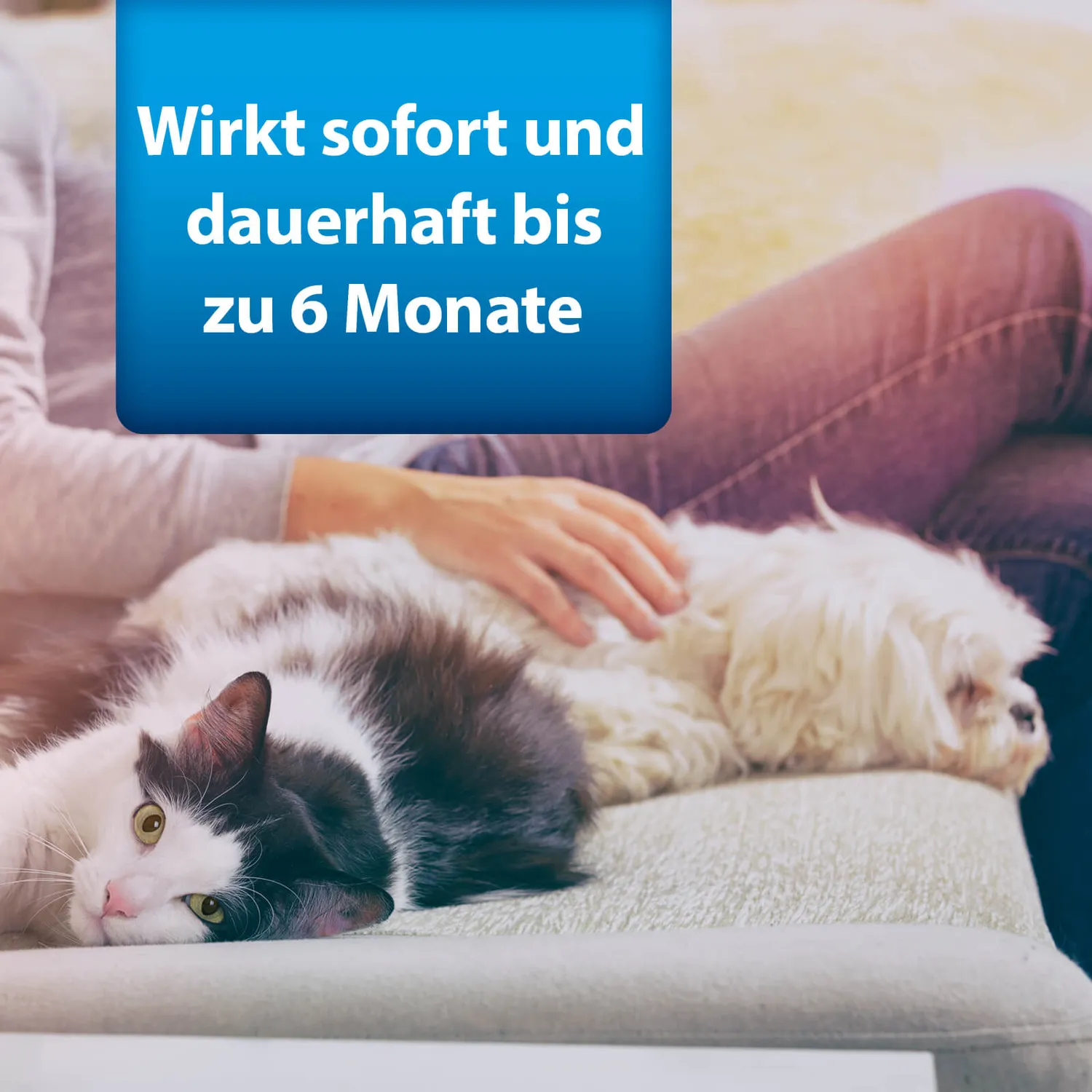 ARDAP Anti-Floh-Set Umgebung kit antipulci ambiente