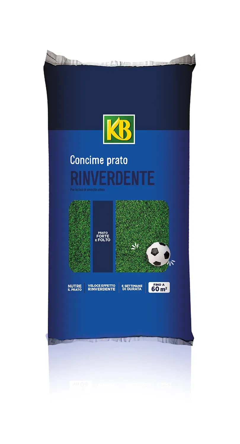 Vithal Rinverdente Antimuschio concime prato 5 kg con ferro