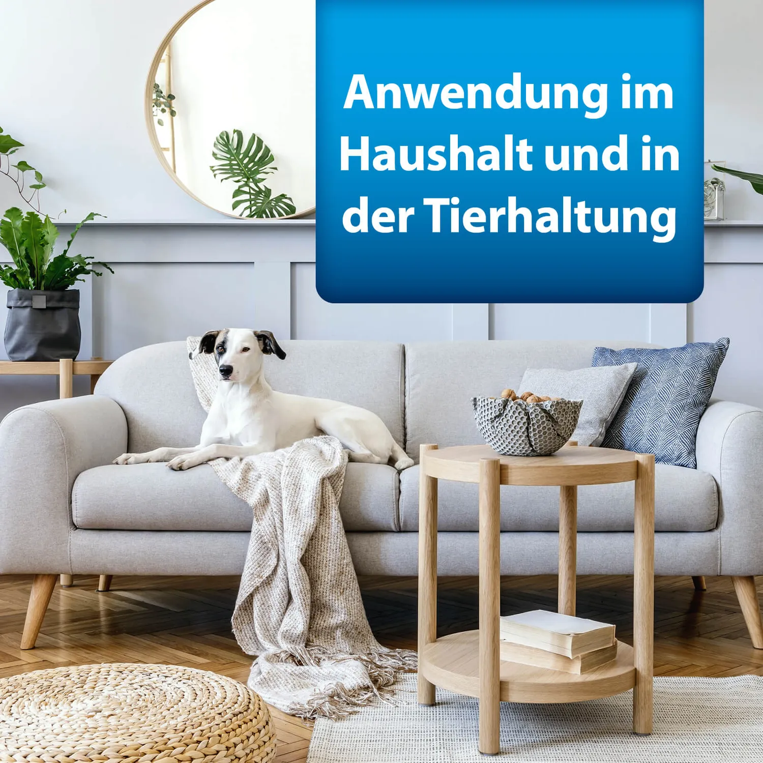 ARDAP Anti-Floh-Set Umgebung kit antipulci ambiente