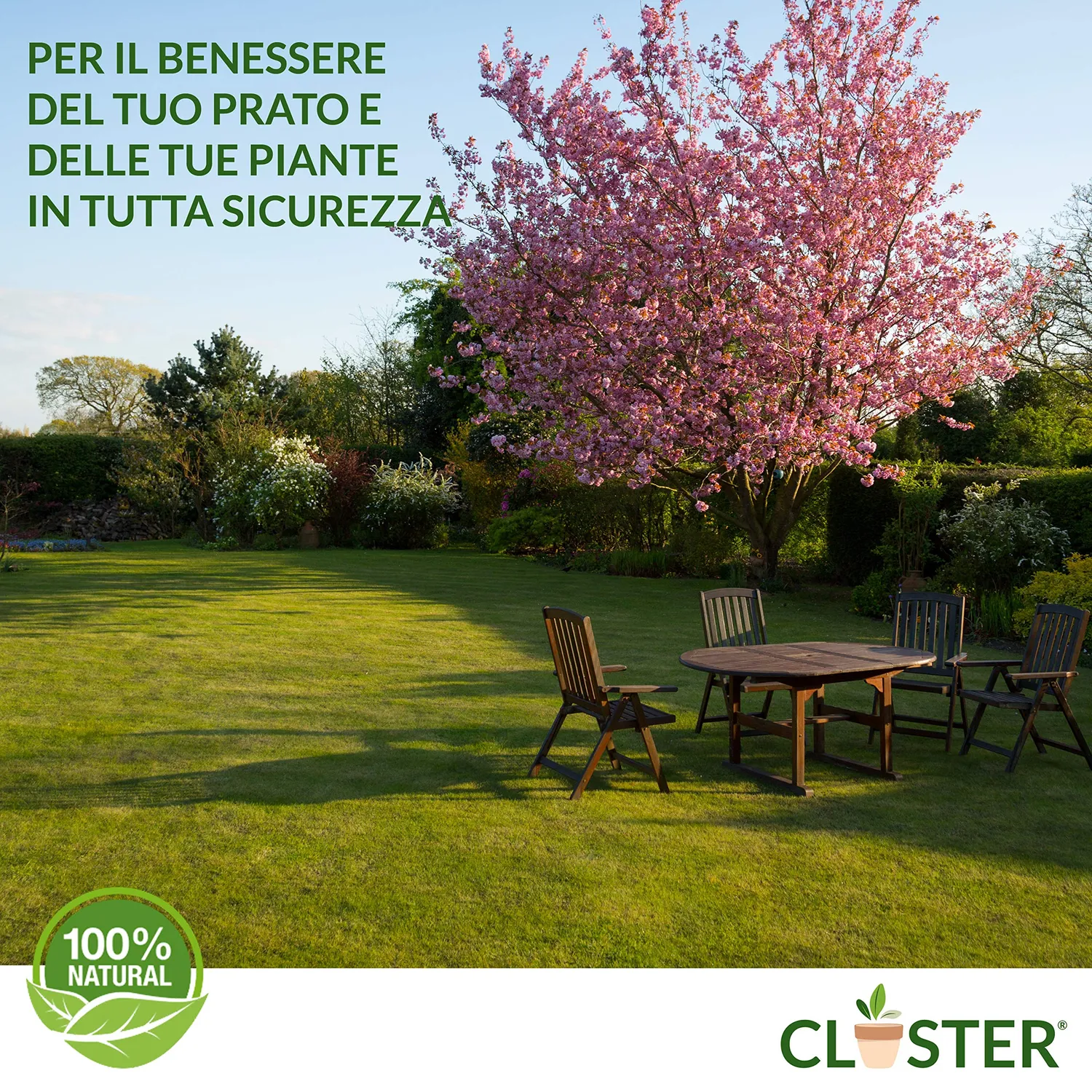 Closter Radice Forte concime radicante 150 gr con micorrize