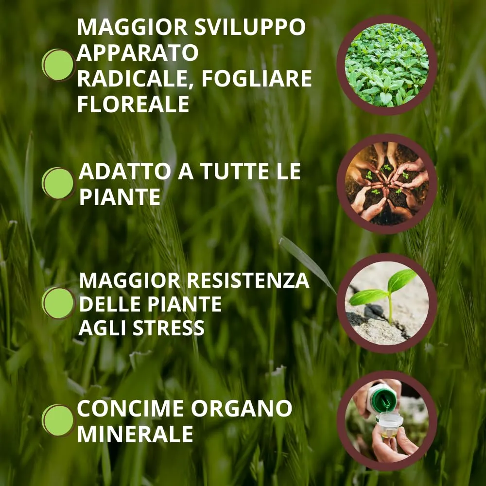 Vithal Unistar Universale concime liquido universale 1L organo-minerale