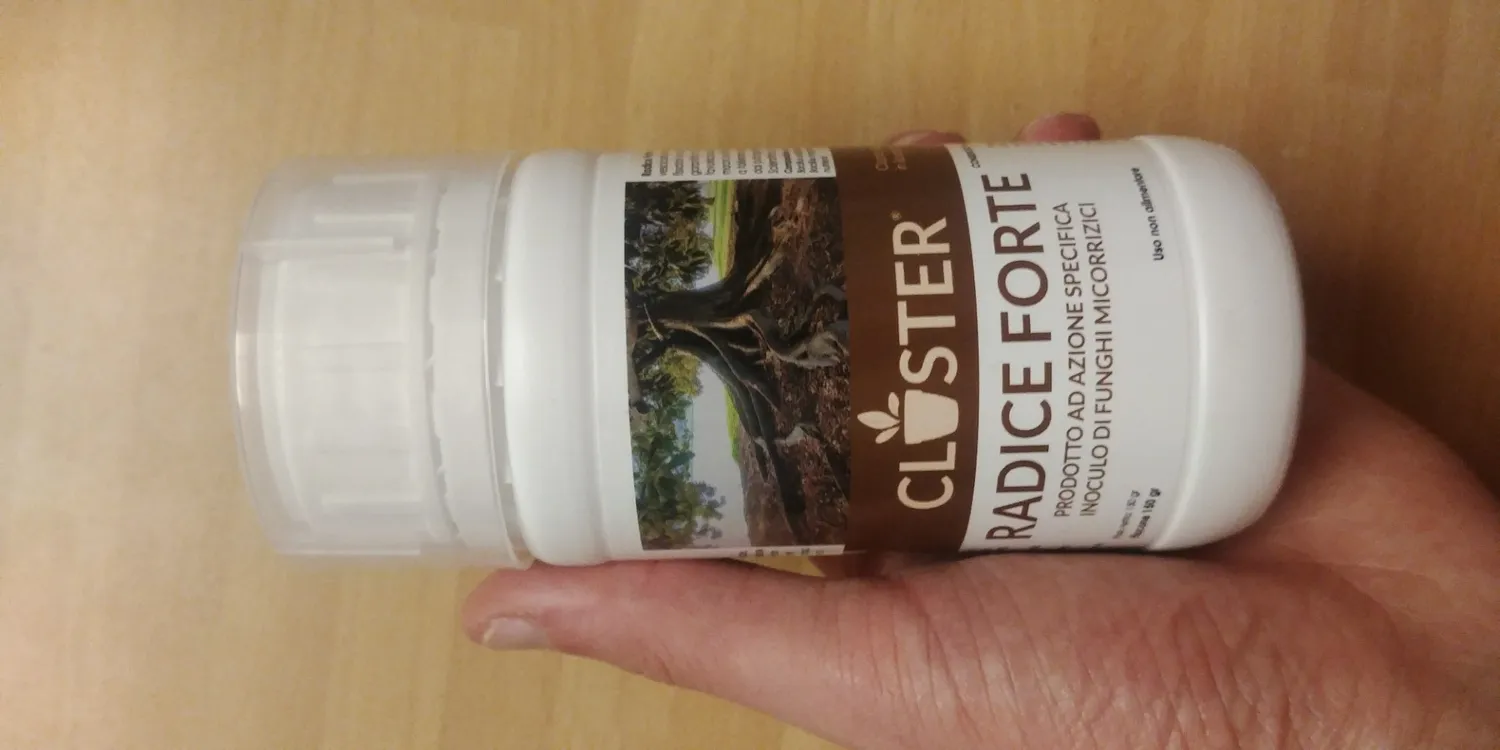 Closter Radice Forte concime radicante 150 gr con micorrize
