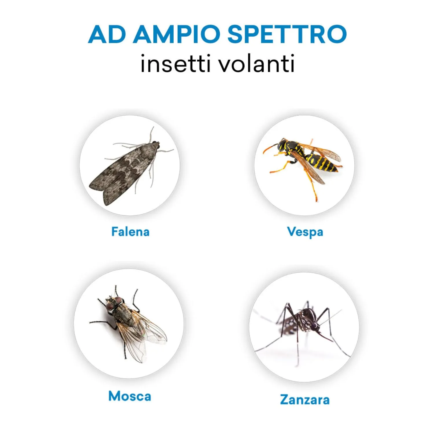 Vebi Duracid Fumogeno Insetticida 11 g Ampio Spettro