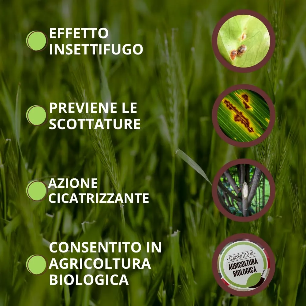 Vithal Biolid UP Caolino Polvere di Roccia 1kg Bio