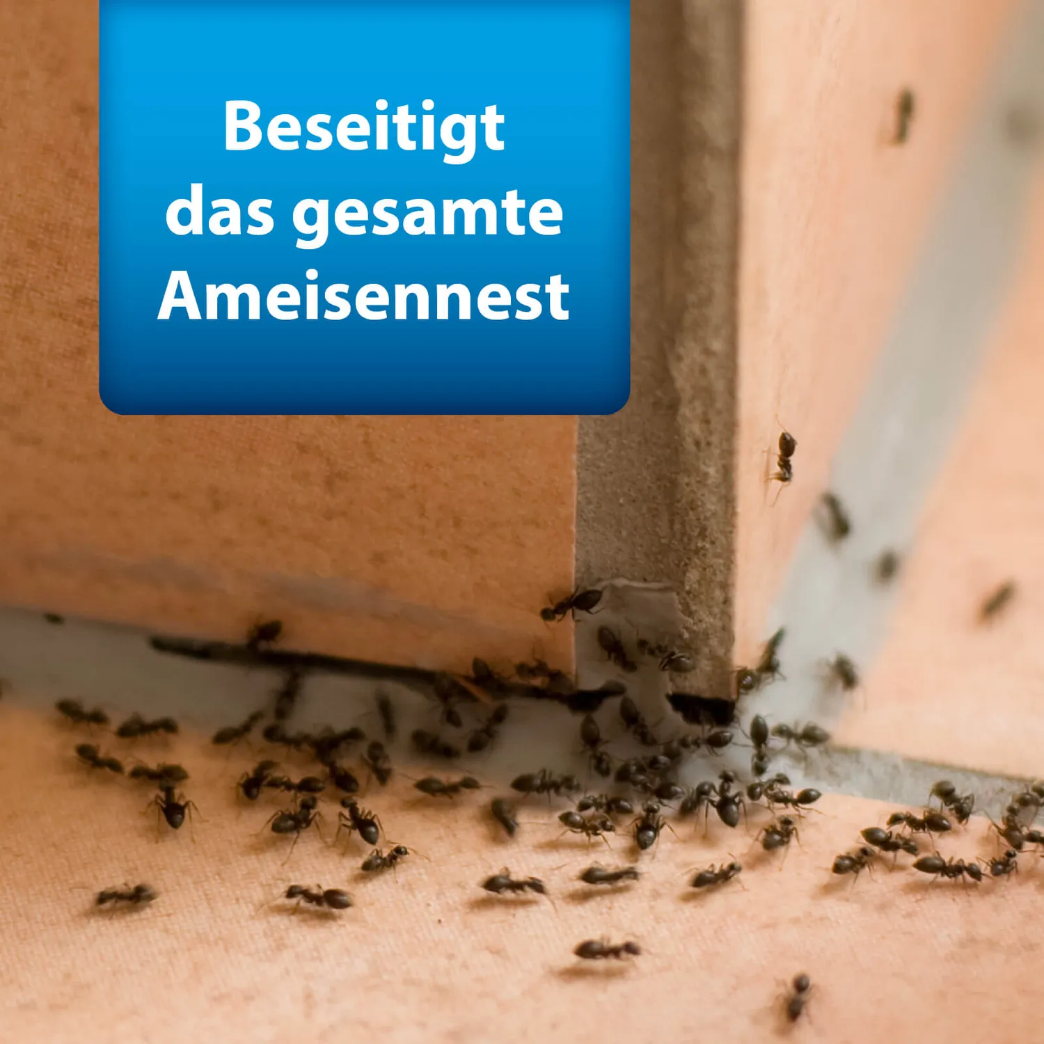 ARDAP Anti-Ameisen-Set kit antiformiche casa e giardino