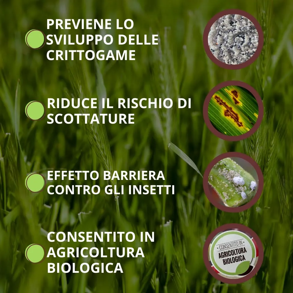 Vithal Bio zeolite + zolfo polvere 1 kg naturale