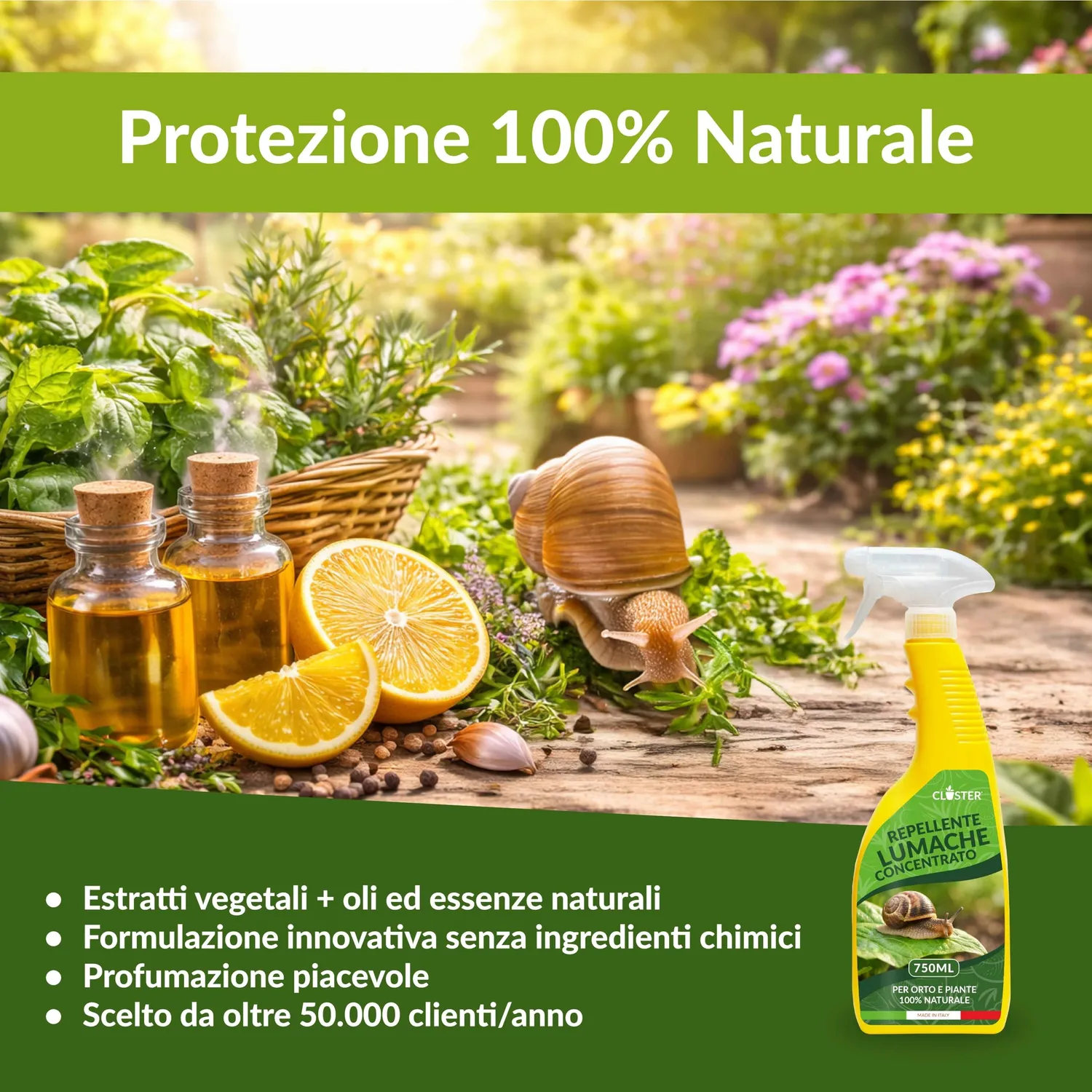Closter Spray Antilumaca naturale 750 ml orto giardino