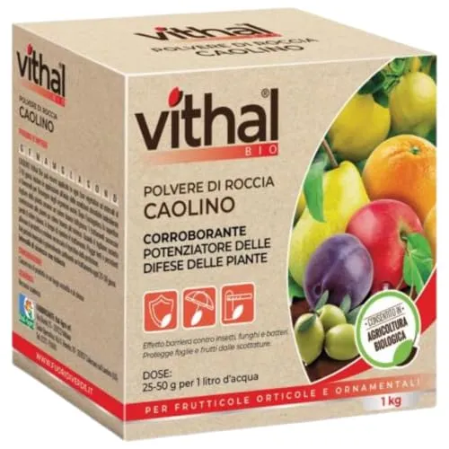 Vithal Biolid UP Caolino Polvere di Roccia 1kg Bio