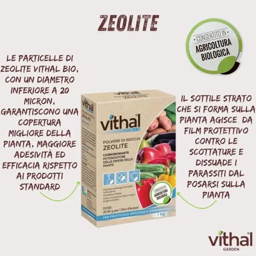 Vithal Zeolite polvere di roccia corroborante 1 kg bio