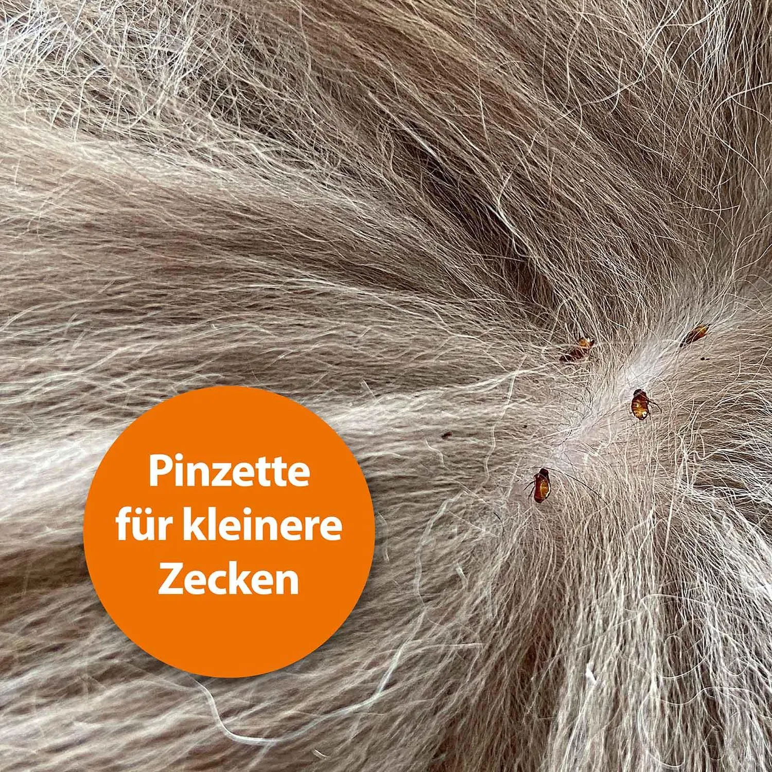 ARDAP Gancio con Pinzetta per Zecche in acciaio con astuccio