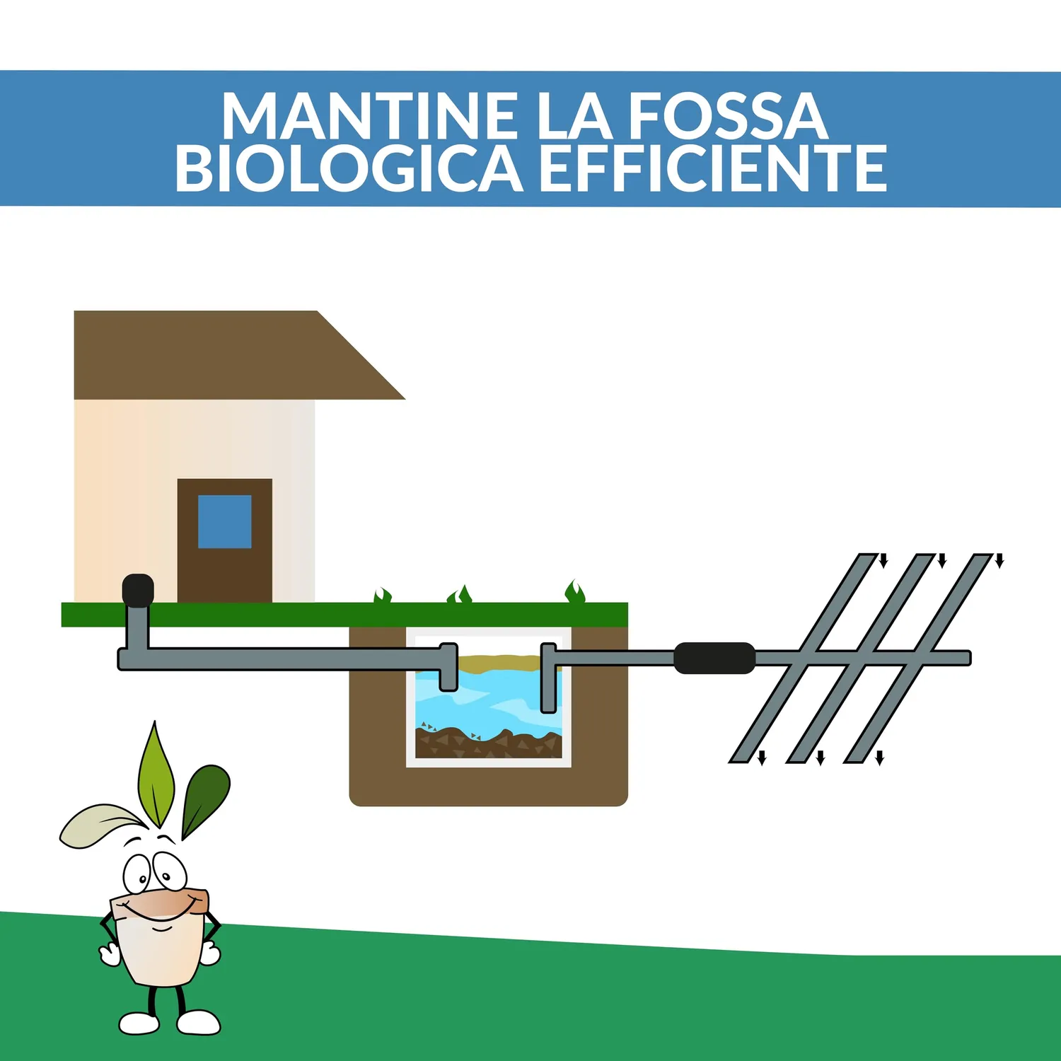 Closter Ecotrap attivatore fossa biologica 1,5 kg enzimi