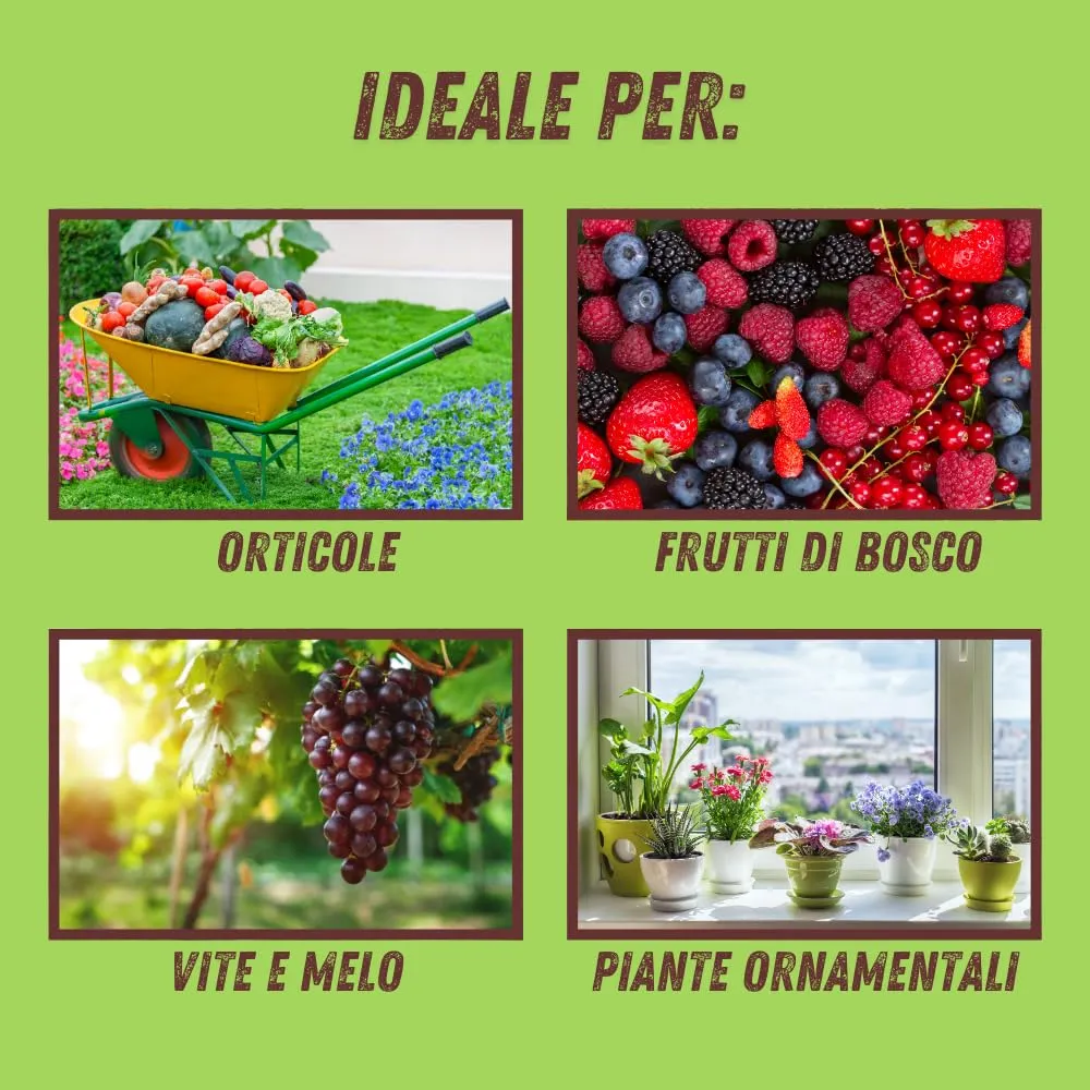 Vithal fungicida piante polvere 350 g bicarbonato