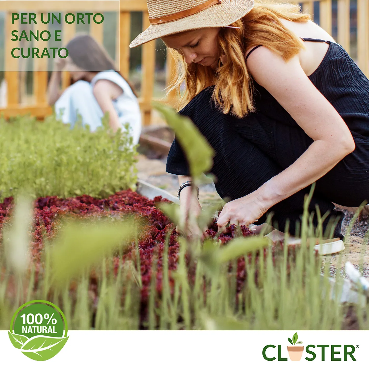 Closter Radice Forte concime radicante 150 gr con micorrize
