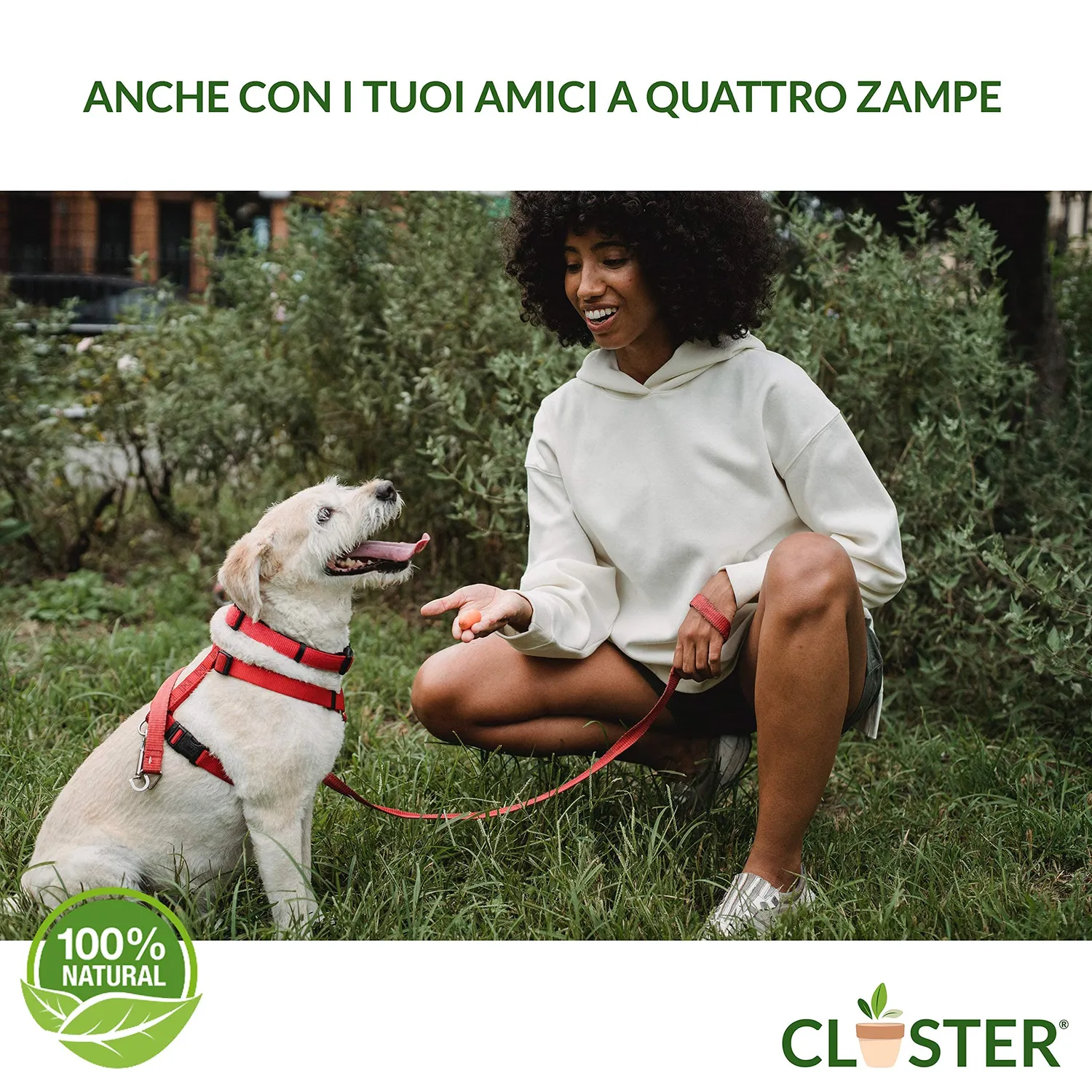 Closter Macerato di Ortica Fertilizzante 1 L Ferro Zinco