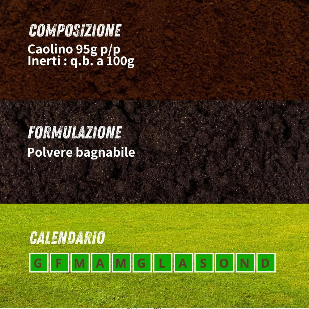 Vithal Biolid UP Caolino Polvere di Roccia 1kg Bio