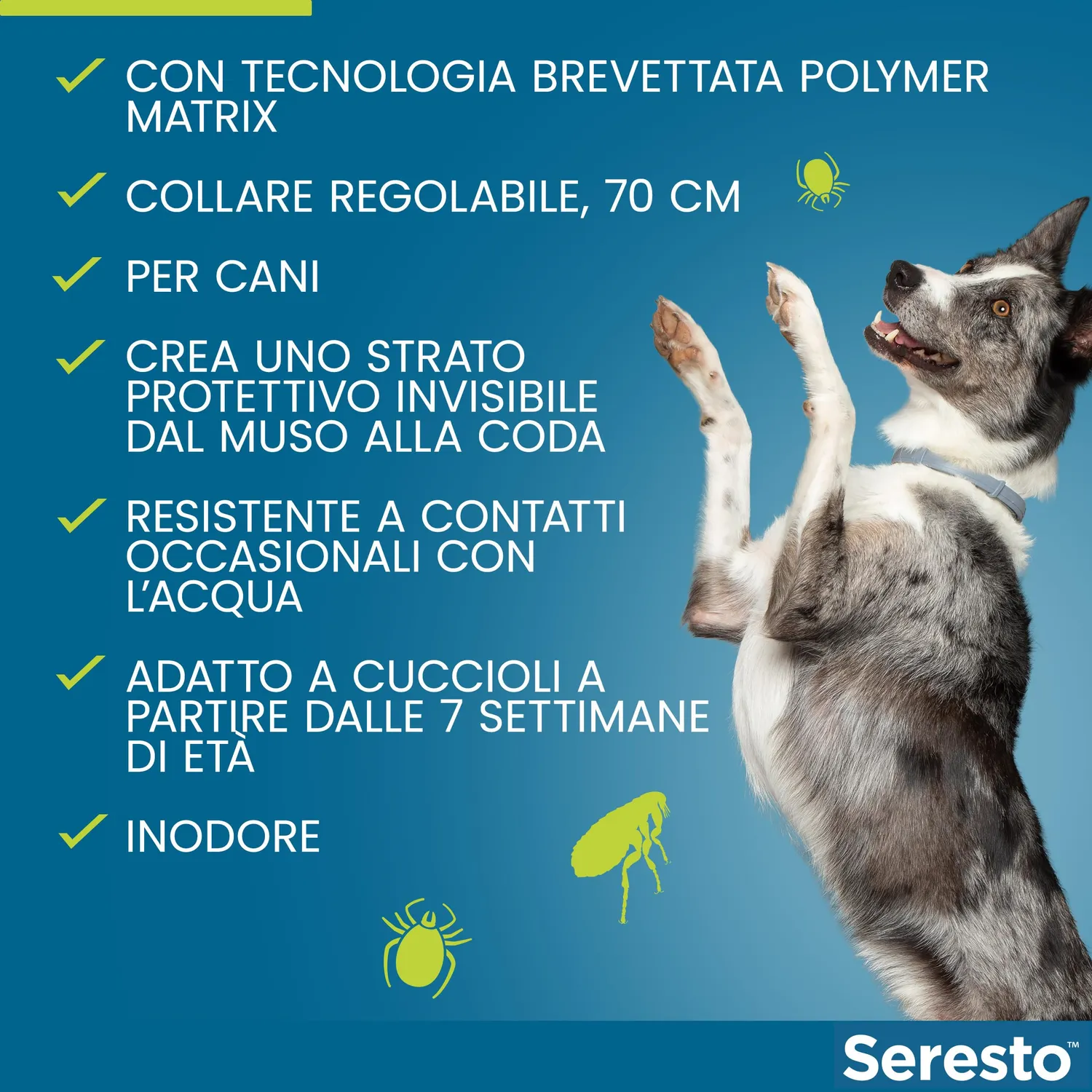 Elanco Seresto collare antiparassitario cani oltre 8 kg
