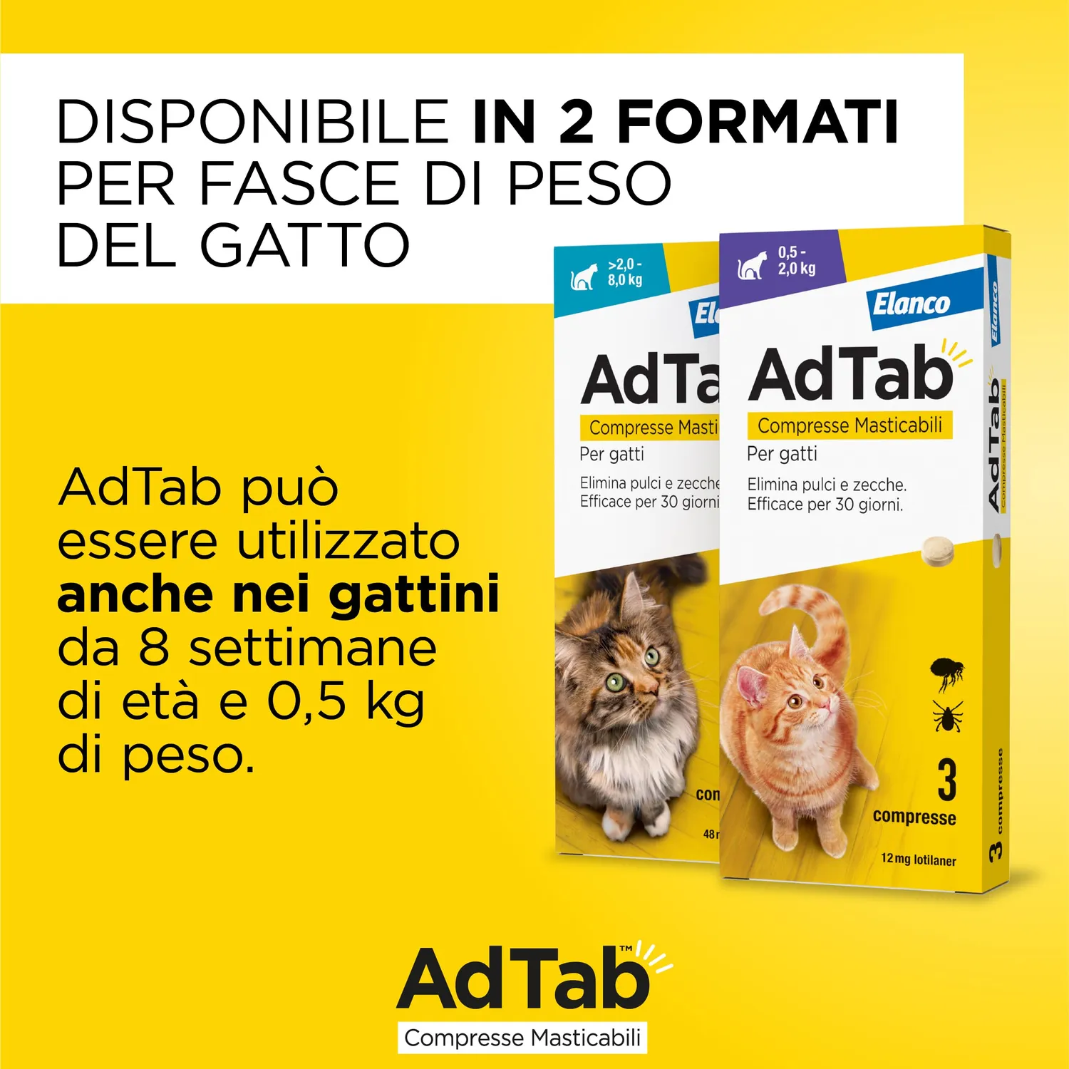 Elanco AdTab gatto 0,5-2 kg compresse masticabili 3 pz