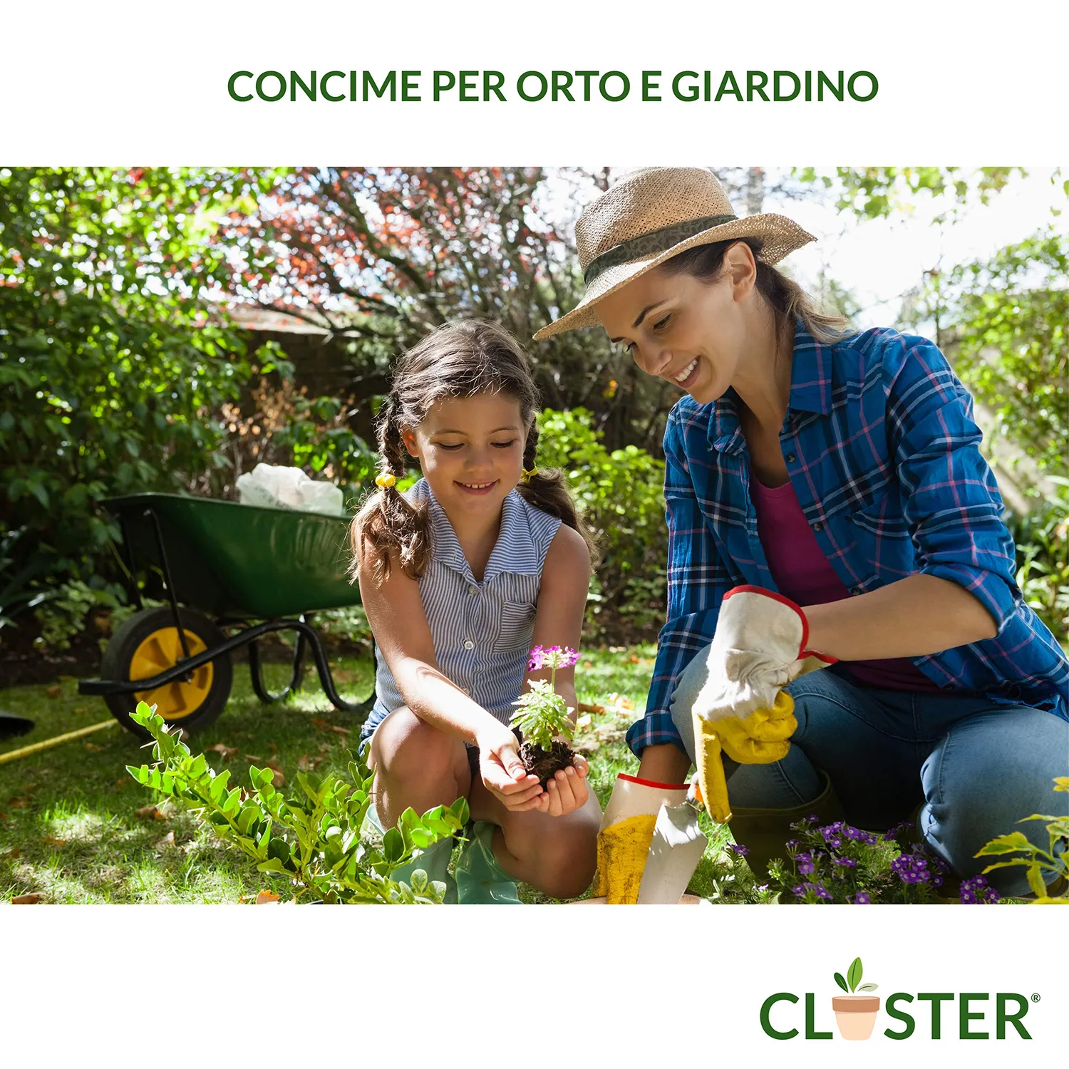 Closter Microelementi Concime Liquido 250 ml al Ferro