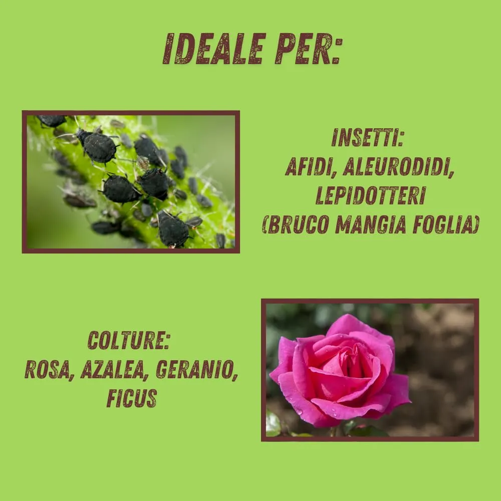 Vithal Pireto Garden AL insetticida spray piretro fiori